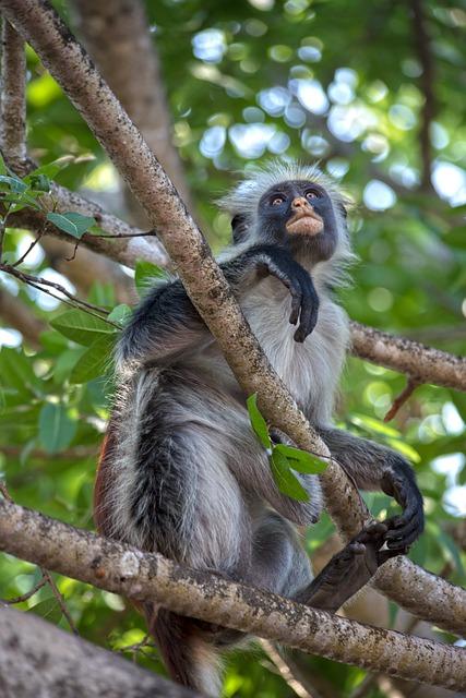 Zanzibar Dovolenka: Rajské Pláže a Exotické Dobrodružstvá