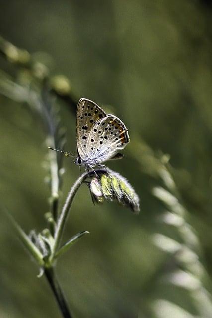 Ako často sa natierať pri mori: Kompletný sprievodca