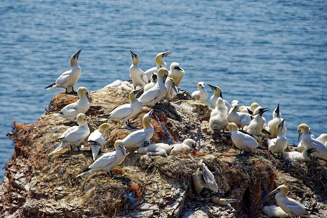 Biograd na Moru Chorvátsko: Top miesta, ktoré musíte vidieť