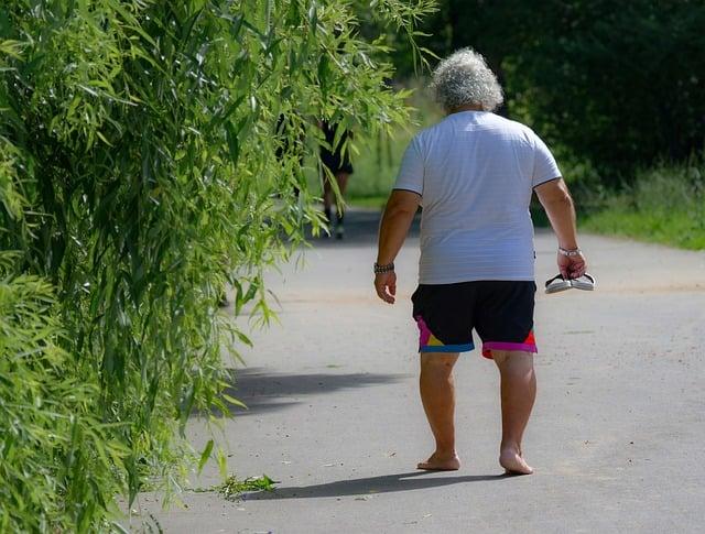 Adrenalínový park Medulin: Vzrušujúce dobrodružstvo pre celú rodinu