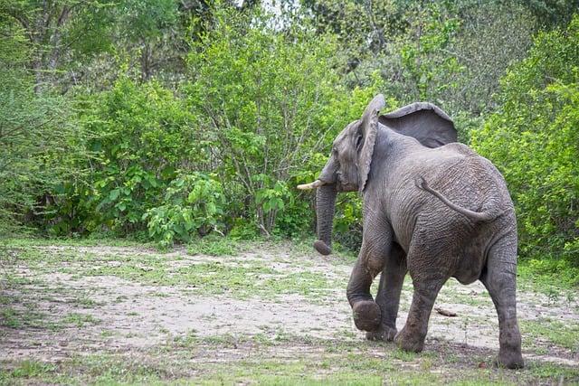 Zanzibar Dovolenka: Rajské Pláže a Exotické Dobrodružstvá