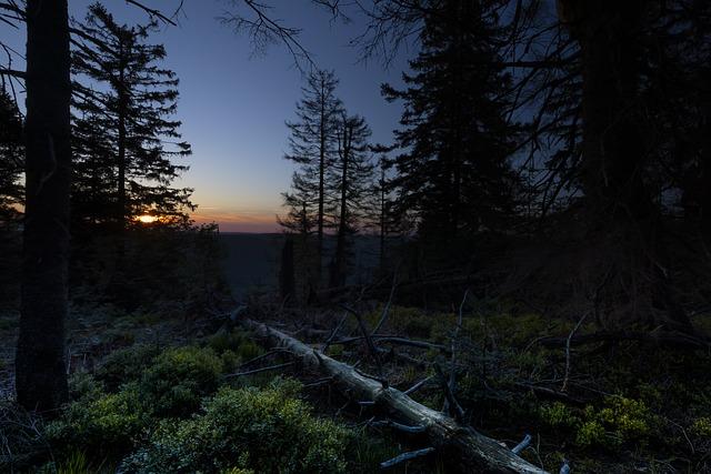 Peší prechod mestskými hradbami: Výhľady na mesto a more