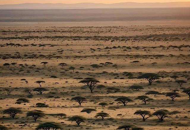 Afrika Dovolenka: Safari a Prírodné Krásy