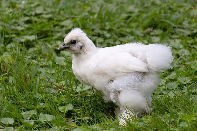 Jedinečná Príroda v okolí Zvolena: Tipy na výlety a túry