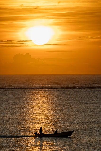 Čo žije v mori na Zanzibare: Fascinujúca fauna