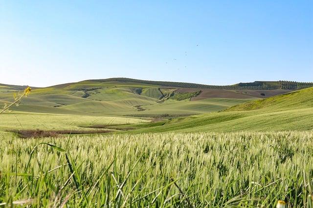 Cordoba: Najlepšie miesta na objavovanie histórie