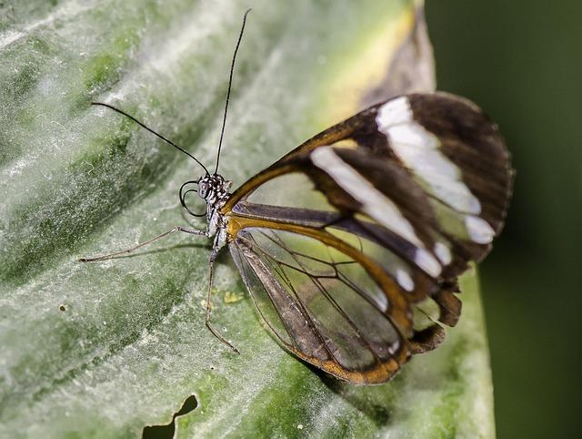 Kúpele Sklené Teplice: Relax a liečba v termálnych prameňoch