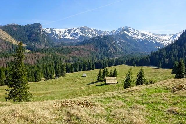 Nové Štrbské Pleso: Turistika a relax v Tatrách