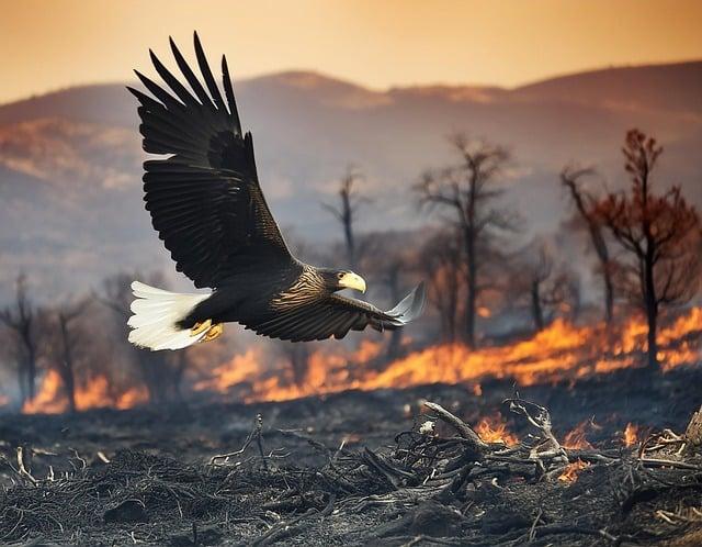 Klimatické podmienky: Porovnanie teplôt a slnečného svitu