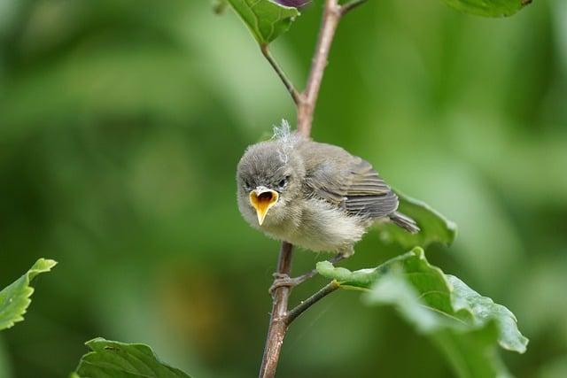 Čím sa platí na Tenerife: Mena a platobné metódy