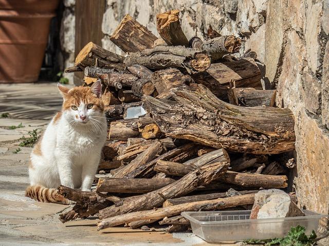 Tarragona: Najlepšie miesta na objavovanie histórie