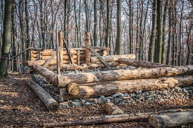 Skanzen Vychylovka Nová Bystrica: Tradičná Slovenská Dedina