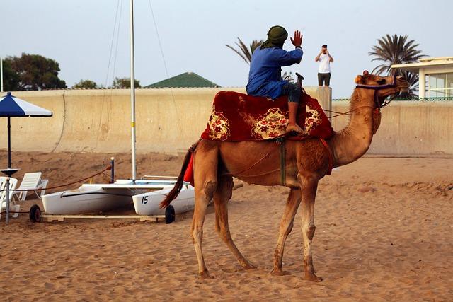 Agadir: Moderné letovisko s nádhernými plážami