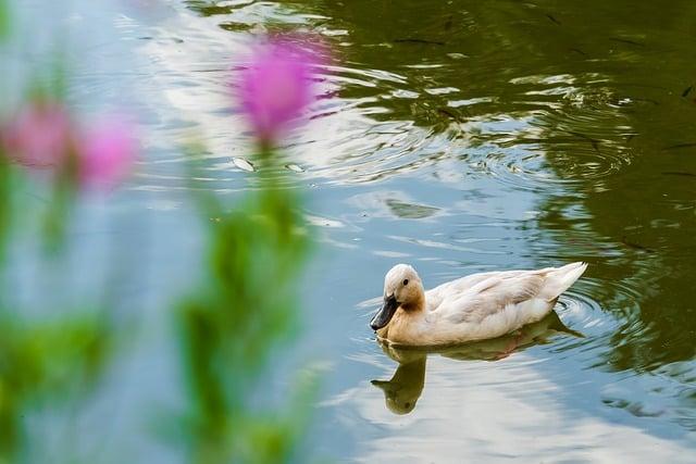 Pata: Najlepšie Tipy na Cestovanie a Zážitky