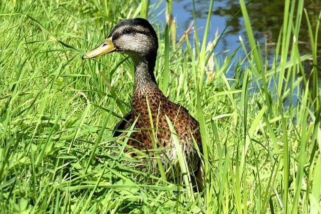 Dohňany: Skryté Poklady a Turistické Trasy