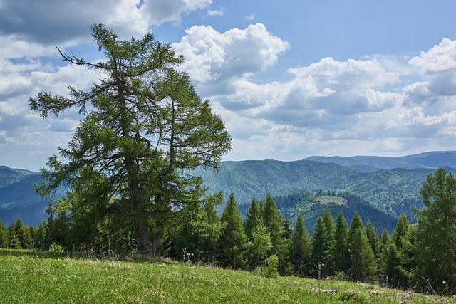 Vernár: Prírodné Krásy a Turistické Trasy