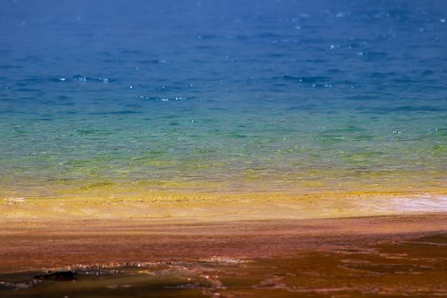 Termálne Kúpalisko Vincov Les Sládkovičovo: Relax a Liečivé Vody