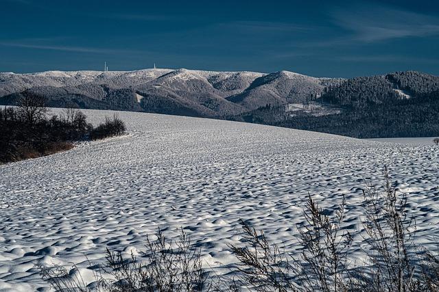 Kúpalisko Vrútky: Letná Oáza