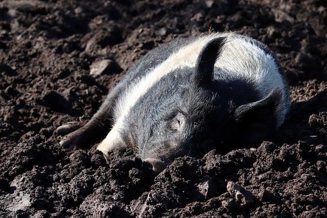 Vhodné oblečenie a obuv na ‍pláž