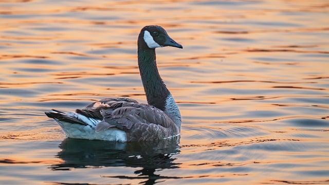 Plava Laguna Poreč: Najlepšie aktivity a pláže