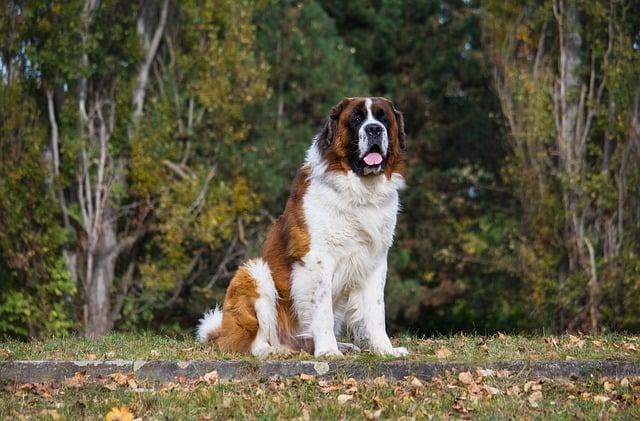 Navštívte Národný Park Butrint: Poklady Staroveku