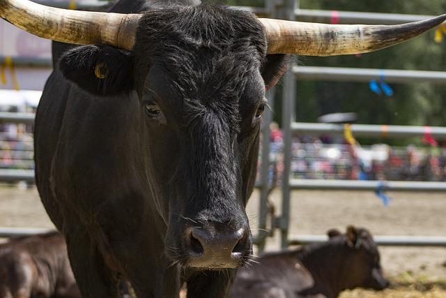 Ranč u Bobiho Nový Tekov: Zážitky na vidieku pre celú rodinu