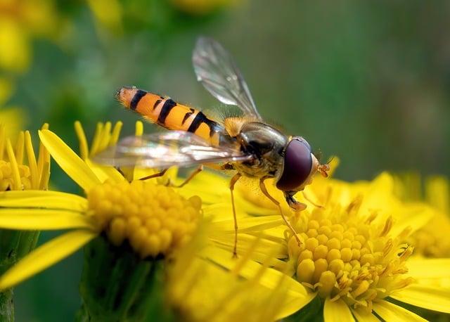 Flóra a Fauna v Okolí Jaskyne