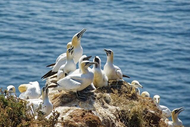 Biograd na Moru Pakoštane: Top Miesta na Návštevu