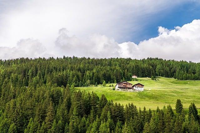 Apartmani Pino Brela: Komfortné Apartmány pre Vašu Dovolenku