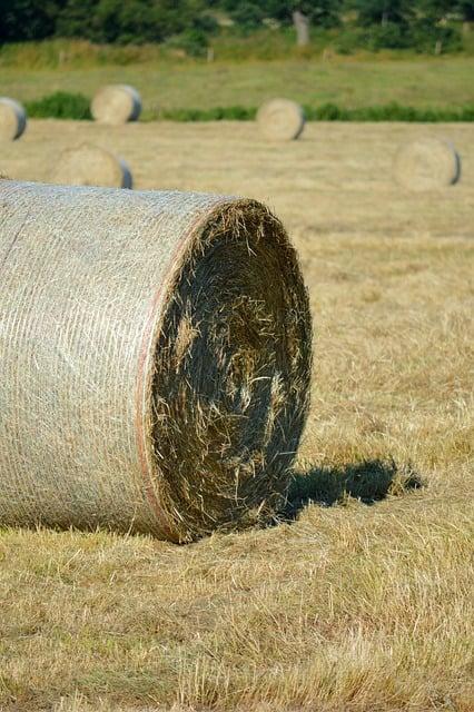 Najlepšie Časy na Návštevu a Rezervačné Odporúčania