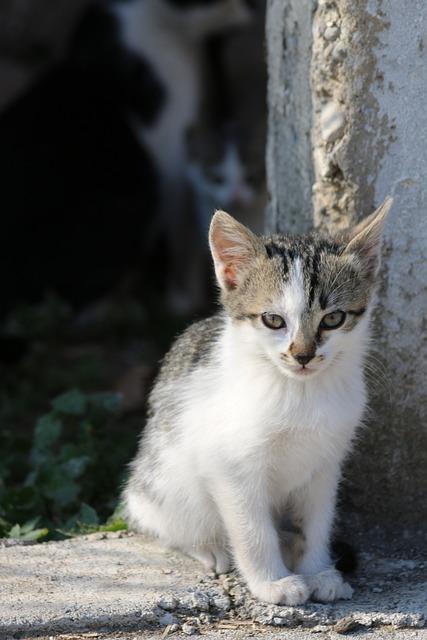 Kedy je najlepšie platená dovolenka? Zistite, kedy si ju užiť