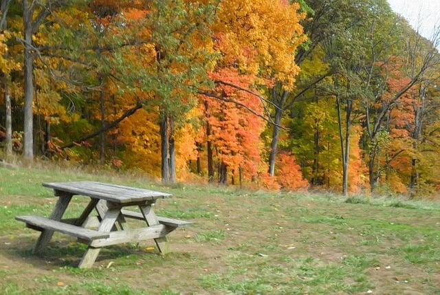 Kúpalisko Patince: Relax a zábava pre celú rodinu