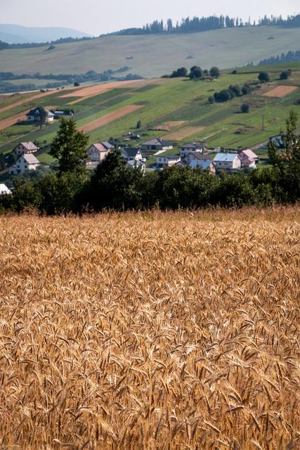 Orava: Najlepšie Aktivity a Tipy na Výlet