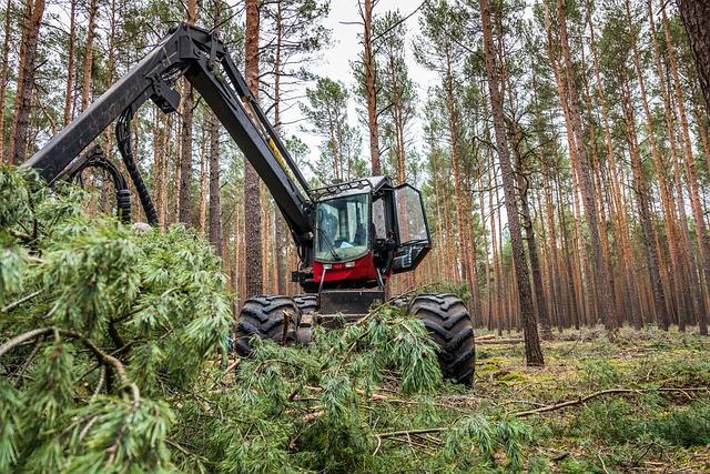 Návšteva Lesníckeho skanzenu: Praktické rady a tipy