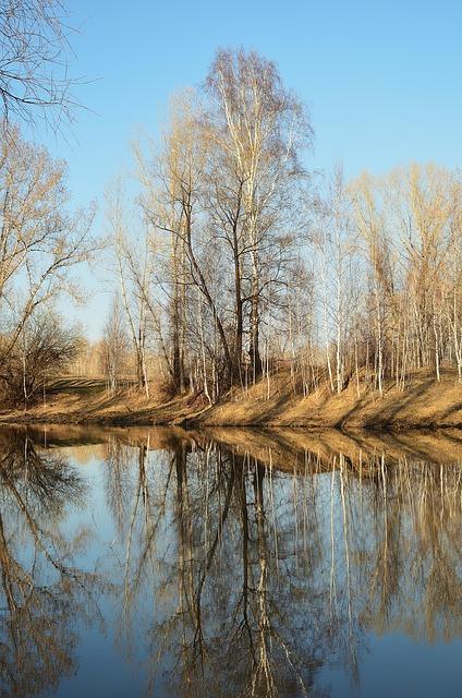 Spoznajte tajuplnú‌ krásu Dunajca: Splavovanie ​na pltiach