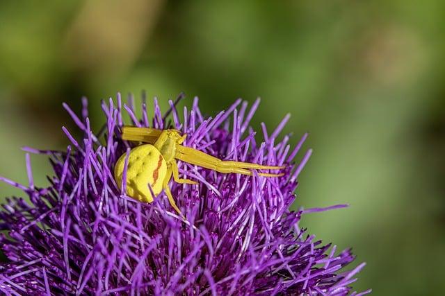 Pestrá fauna a flóra: Prírodné divy