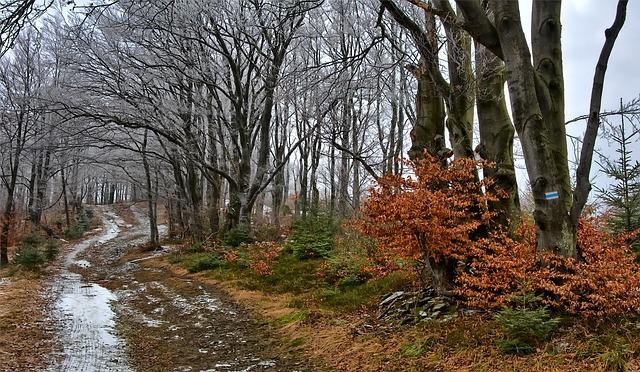 Kľačianska Magura: Historické súvislosti a prírodné krásy